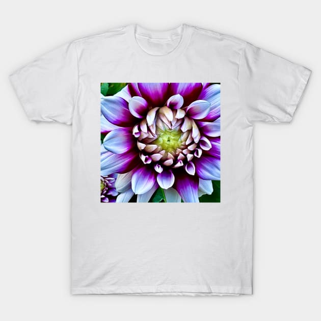 Blossoming Flower Definition T-Shirt by Pamela Storch